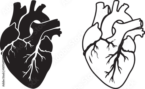 Human Heart Silhouette and Outline Icons anatomy medical