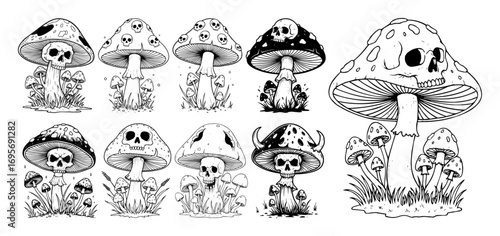 detailed mushroom species set forest fungi line art vector