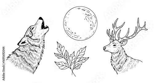 wolf howling moon and deer forest style illustration