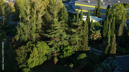 A bird's-eye view of the city of Gagra.