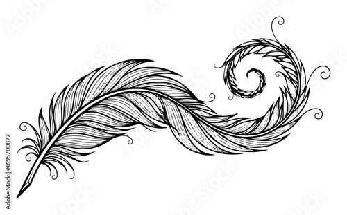 hand drawn feather swirl vector illustration