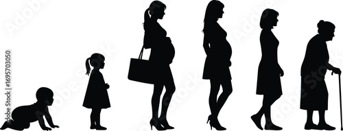 Female life stages silhouette vector showing aging progression from infant to elderly, pregnancy, development, generational change, aging timeline concept
