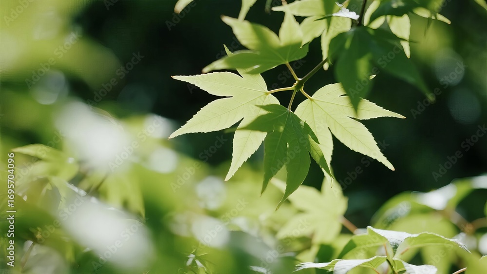 Obraz premium Blurred Leaves and Gentle Bokeh Lighting Creating a Serene and Peaceful Natural Background