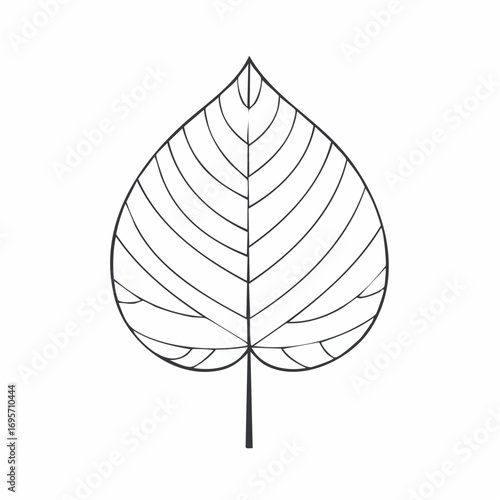 Minimalist black and white line art illustration of a single botanical leaf with intricate veins and a serrated edge, isolated on a white background for design projects
