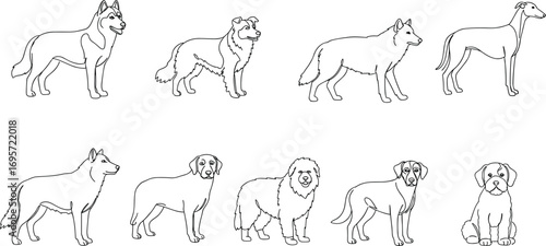 "Dog breeds collection, pet animals, sitting dog, standing dog, outline drawing, cad drawing flat vector illustration, modern line art"