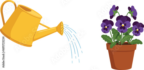 a yellow watering can pouring water onto purple potted flowers
