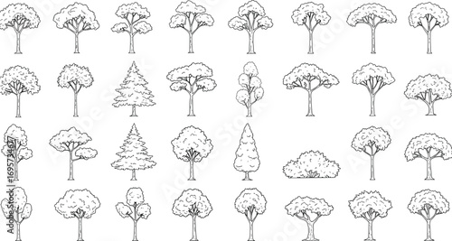 "Tree set collection, hand drawn sketch, different types of trees and bushes, landscape architecture elements, garden design, cad drawing flat vector illustration"