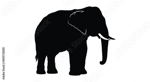 a majestic elephant silhouette standing tall with large tusks