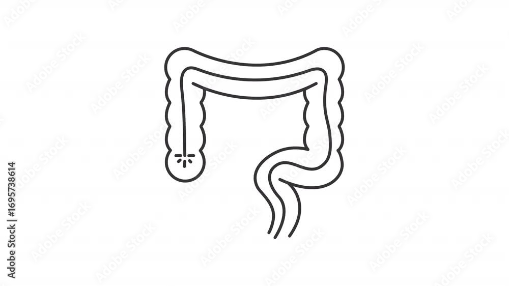 Animated colonoscopy line icon. Examine inside of large intestine and ...