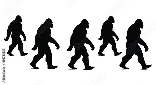 evolutionary stages depicted through silhouettes of human ancestors