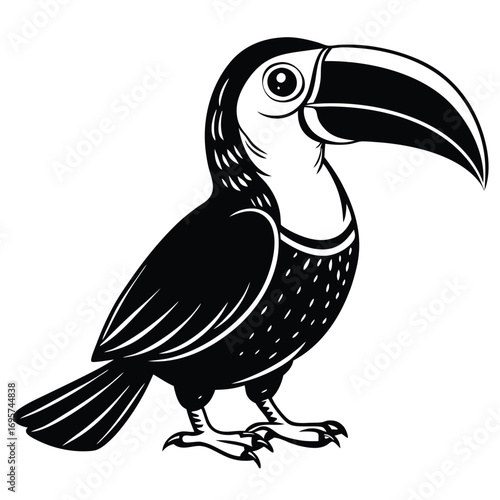 toucan bird cartoon