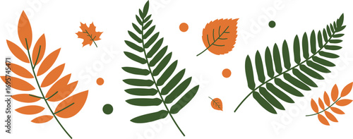 autumn leaves scattered with vibrant colors and patterns