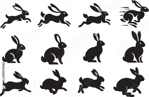 rabbit, bunny, hare, silhouette, icon, motion, running, jumping, leaping, speed, action, animal, wildlife, mammal, cute, graphic, design, element, set, collection, isolated, white background, black