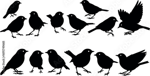Collection of silhouette bird poses realistic and diverse small bird flock standing and flying outlines