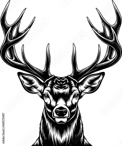 Majestic stag head with impressive antlers detailed wildlife art majestic deer portrait