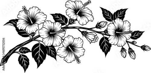 Elegant black and white sketch of blooming cherry blossoms on a branch with delicate leaves