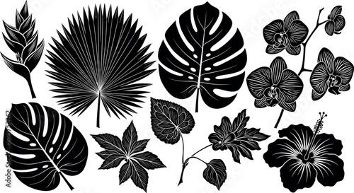 Collection of tropical botanical silhouettes exotic plants and flowers for design and decoration elements