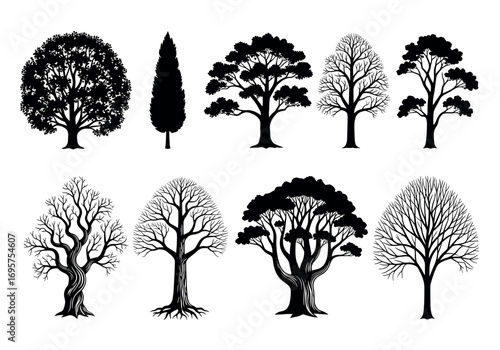 Collection of diverse tree silhouettes diverse tree species nature elements organic forms woodland scenery outdoor design elements