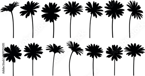 Collection of silhouetted daisy flowers with stems displayed in two rows against a