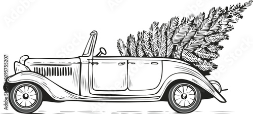 Vintage convertible automobile transporting a large evergreen tree vintage car holiday