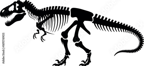 Majestic tyrannosaurus rex skeleton silhouette prehistoric dinosaur bone structure animal