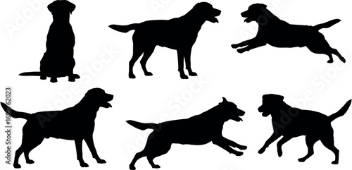 Set of six black dog silhouettes showing different poses and actions like sitting standing and running