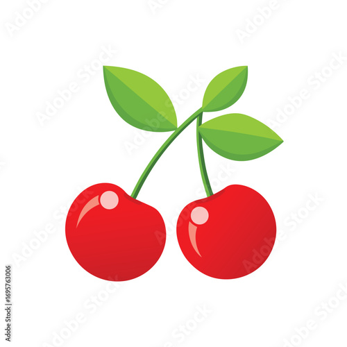 vector illustration of cherry