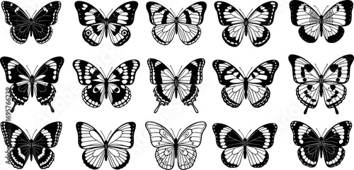 Collection of diverse butterfly wing patterns in monochrome etching style with intricate detail