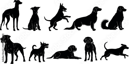 Collection of diverse dog breed silhouettes in various poses perfect for pet lovers and design projects
