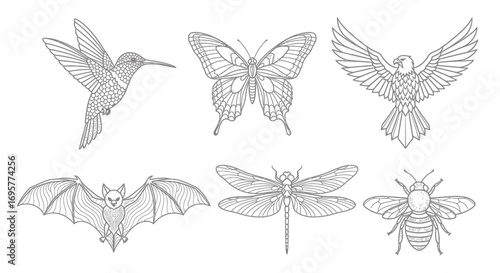 Wallpaper Mural A collection of six detailed, black and white line art illustrations of various flying animals on a white background. Torontodigital.ca