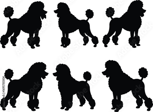 Poodle Dog Vector Set with Silhouettes and Detailed Outline Illustration for Pet and Animal-themed Designs.