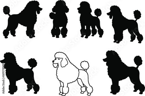 Poodle Dog Vector Set with Silhouettes and Detailed Outline Illustration for Pet and Animal-themed Designs.