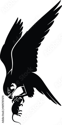Silhouette of a falcon catching a mouse bird of prey hunting its victim in black and vector illustration