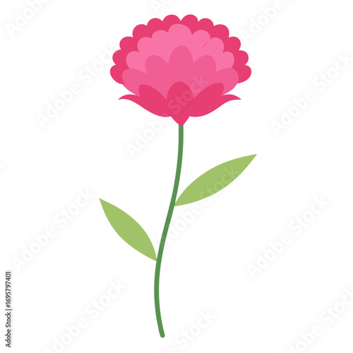  sea thrift pink vector on white