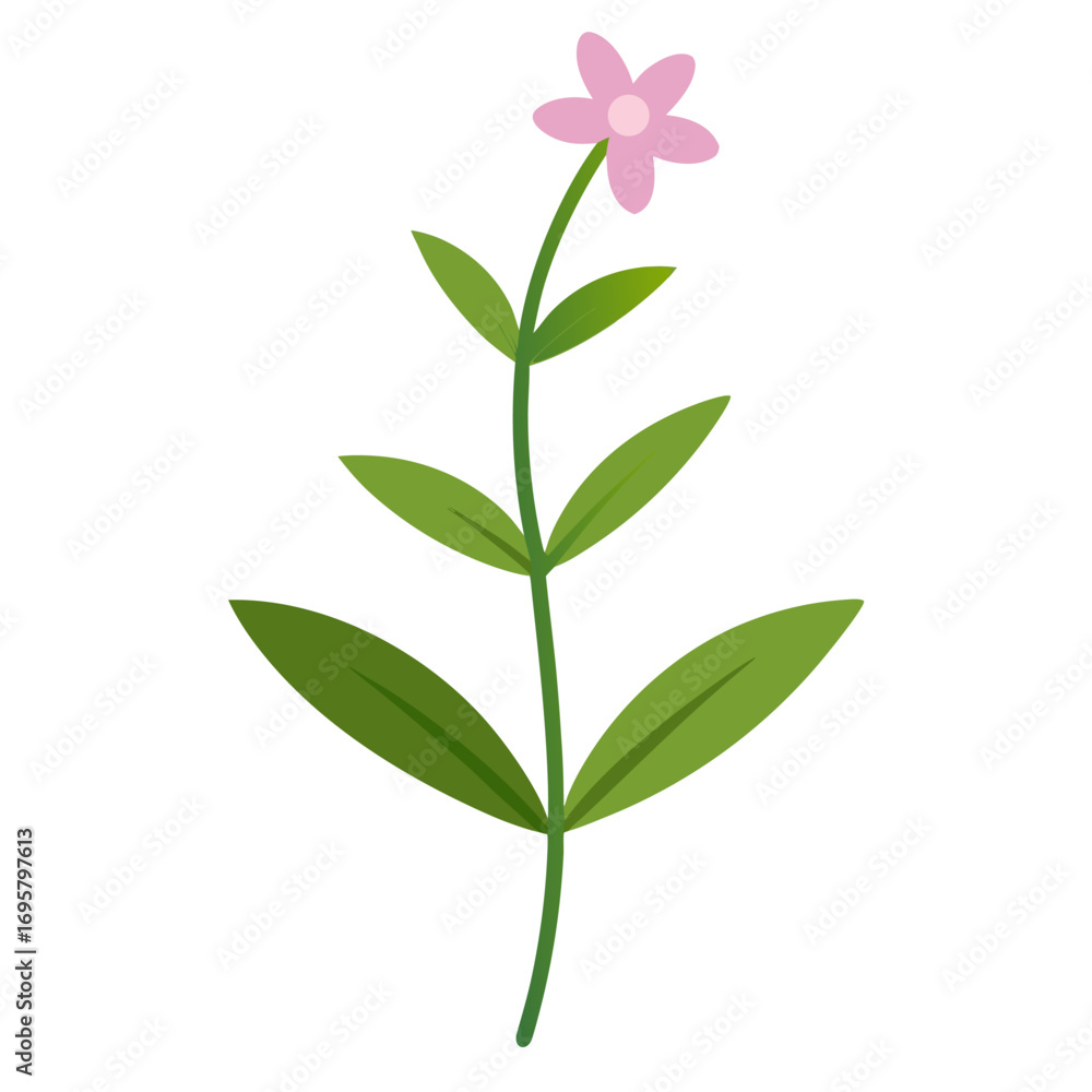 Fototapeta premium summer savory vector on white background