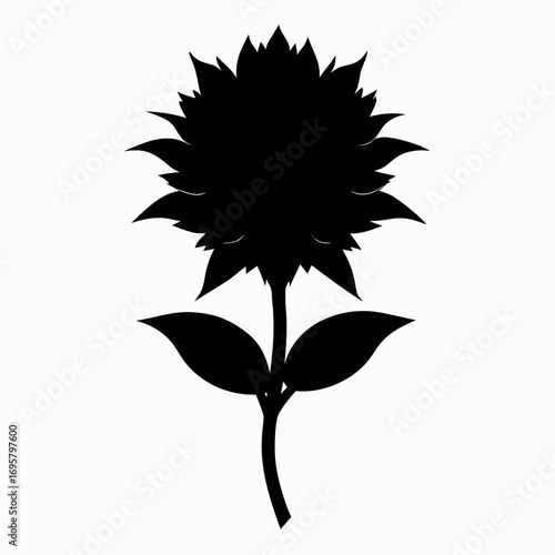 stokesia divinity silhouette-on-white