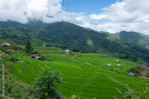 Rice terraced fields on Ha Giang Loop  and  blue cloudy sky  in the mountains near Ha Giang in northern Vietnam