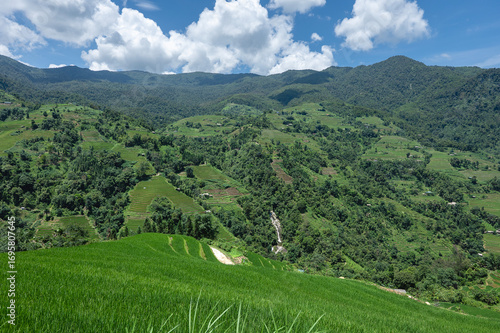 Rice terraced fields on Ha Giang Loop  and  blue cloudy sky  in the mountains near Ha Giang in northern Vietnam