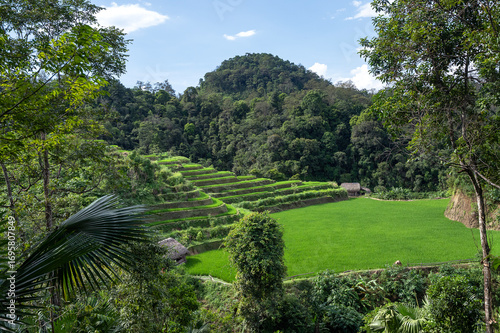 Rice terraced fields on Ha Giang Loop  and  blue cloudy sky  in the mountains near Ha Giang in northern Vietnam