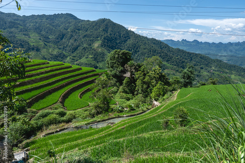 Rice terraced fields on Ha Giang Loop  and  blue cloudy sky  in the mountains near Ha Giang in northern Vietnam