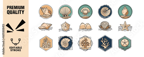 Collection of hand drawn sea shells and marine life illustrations set of vintage style vector icons of ocean creatures and nautical elements for logo design