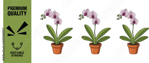 Illustration of three orchid flowers in pots, perfect for flower shops, gardening businesses, or any business related to nature, the design is simple and elegant