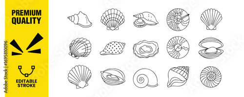 Collection of various seashell types conch, scallop, whelk, nautilus, clam, oyster, spiral, and more perfect for beach, ocean, or nautical themed designs