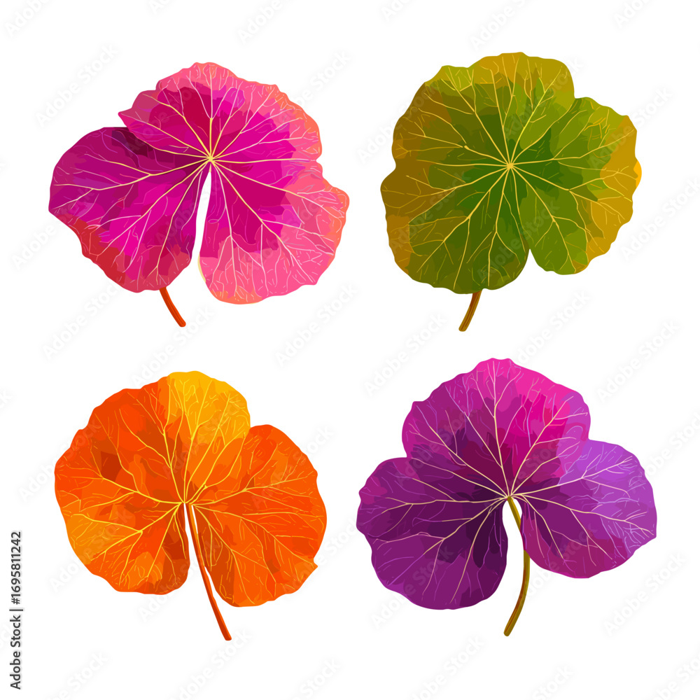 Obraz premium Colorful Autumn Leaves Depicting the Vibrant Hues of Nature's Transition