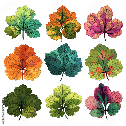 Vibrant Autumn Heuch Leaves in Colorful Arrangements Showcase Nature's Beauty
