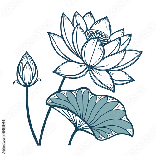 Elegant hand drawn lotus flower and bud with leaf illustration