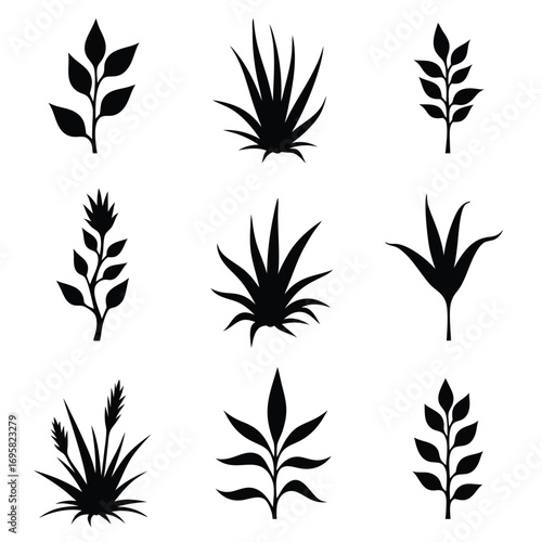 Collection of nine black silhouettes of plants and leaves Keywords: plant, leaf, grass, bush