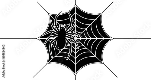 Dark silhouette of a spider perched on its intricately spun web against a stark background