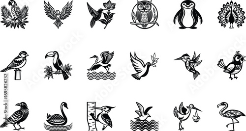 Various birds icons in silhouette style parrot eagle