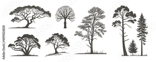 Collection of  tree silhouettes black and white